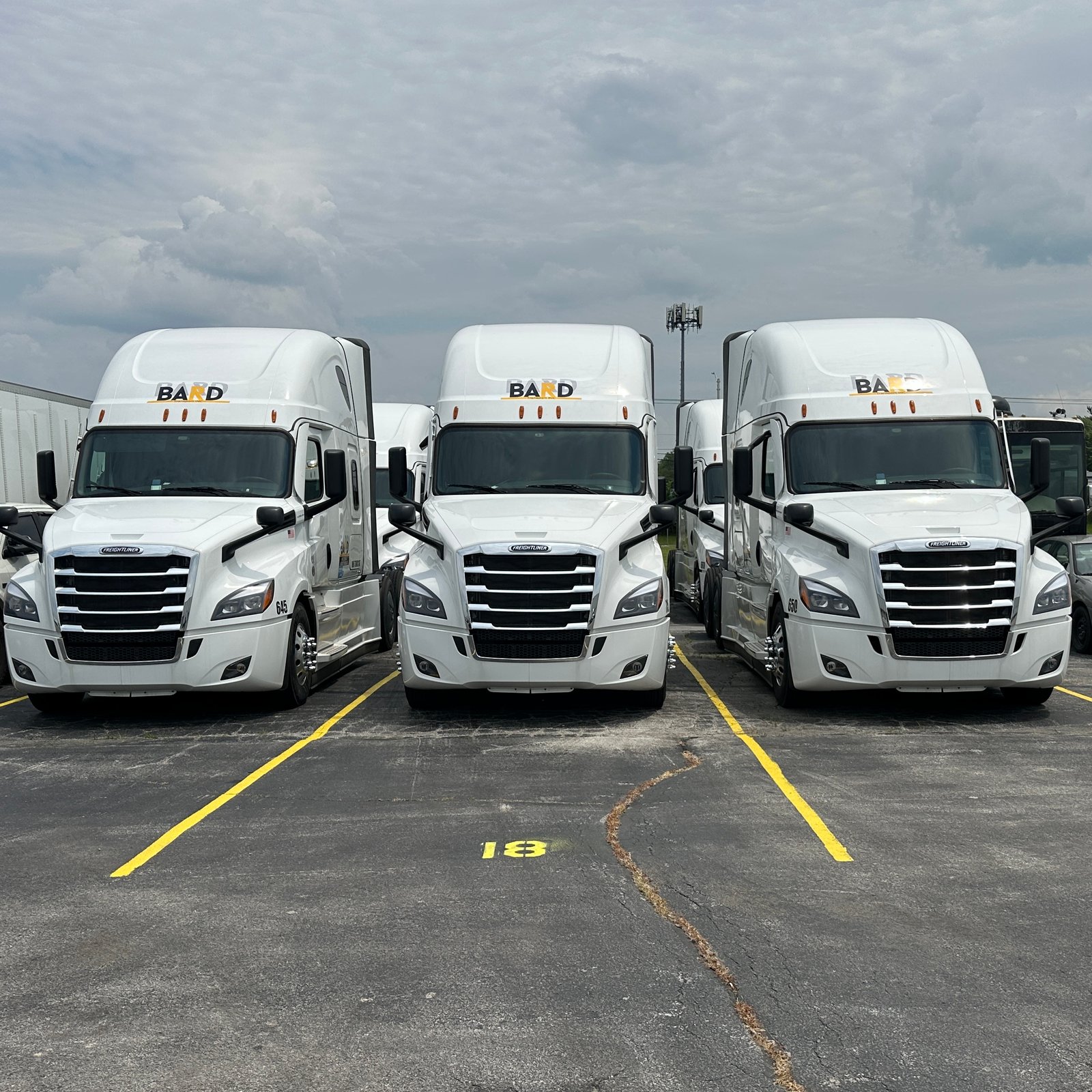 Three white BARD Freightliner tractors parked side by side